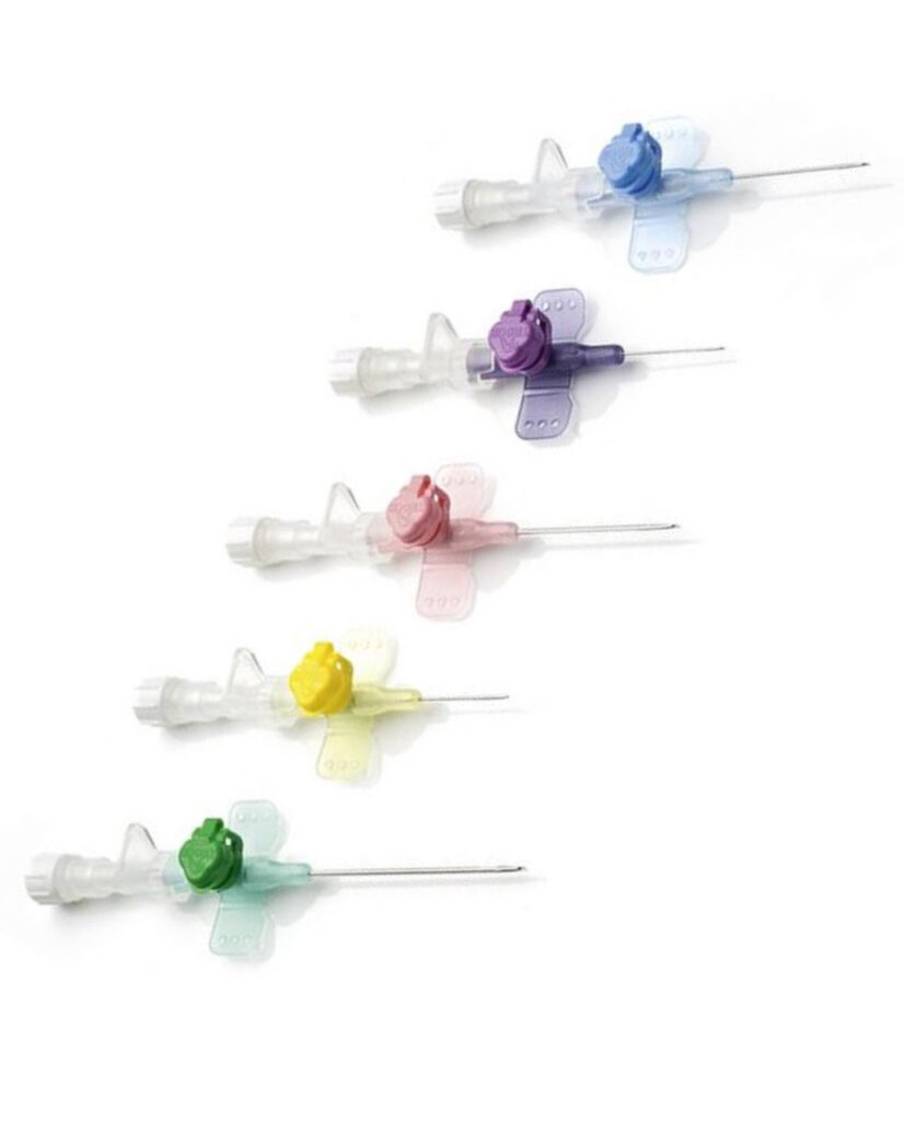 whatsapp image 2025 10 05 at 8.26.34 pm